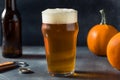 Boozy Refreshing Autumn Pumpkin Beer Ale Royalty Free Stock Photo