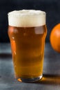 Boozy Refreshing Autumn Pumpkin Beer Ale Royalty Free Stock Photo