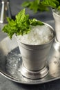 Boozy Refreshing Bourbon MInt Julep