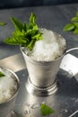 Boozy Refreshing Bourbon MInt Julep