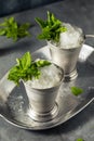 Boozy Refreshing Bourbon MInt Julep