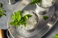 Boozy Refreshing Bourbon MInt Julep