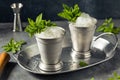 Boozy Refreshing Bourbon MInt Julep