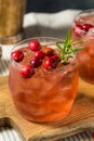 Boozy Refreshing Christmas Cranberry Cocktail Royalty Free Stock Photo