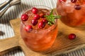 Boozy Refreshing Christmas Cranberry Cocktail Royalty Free Stock Photo