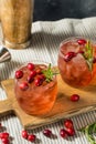 Boozy Refreshing Christmas Cranberry Cocktail Royalty Free Stock Photo