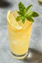 Boozy Refreshing Hard Bourbon Lemonade