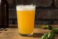 Boozy Refreshing Hoppy IPA Beer