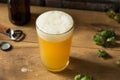 Boozy Refreshing Hoppy IPA Beer