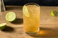 Boozy Refreshing Moscow Mule Cocktail