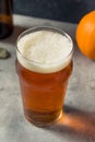 Boozy Refreshing Pumpkin Ale Craft Beer Royalty Free Stock Photo