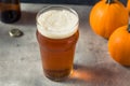 Boozy Refreshing Pumpkin Ale Craft Beer Royalty Free Stock Photo