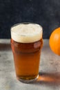 Boozy Refreshing Pumpkin Ale Craft Beer Royalty Free Stock Photo