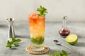 Boozy Refreshing Queens Park Swizzle Royalty Free Stock Photo