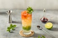 Boozy Refreshing Queens Park Swizzle Royalty Free Stock Photo