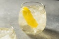 Boozy Refreshing White Wine Spritzer Royalty Free Stock Photo