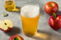Boozy Refresing Cold Hard Apple Cider Royalty Free Stock Photo