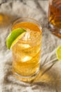 Boozy Whiskey Ginger Ale Cocktail Royalty Free Stock Photo