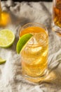 Boozy Whiskey Ginger Ale Cocktail Royalty Free Stock Photo