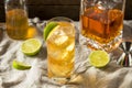 Boozy Whiskey Ginger Ale Cocktail Royalty Free Stock Photo