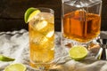 Boozy Whiskey Ginger Ale Cocktail Royalty Free Stock Photo