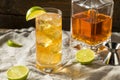 Boozy Whiskey Ginger Ale Cocktail Royalty Free Stock Photo
