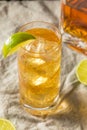 Boozy Whiskey Ginger Ale Cocktail Royalty Free Stock Photo