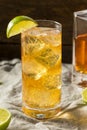 Boozy Whiskey Ginger Ale Cocktail Royalty Free Stock Photo