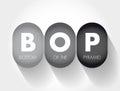 BOP Bottom Of the Pyramid - the largest, but poorest socio-economic group, acronym text concept background