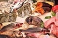 Fish prices in Spain Royalty Free Stock Photo