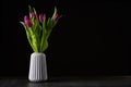 boquet of tulip on a black background standing in a vase Royalty Free Stock Photo
