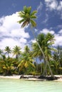 Bora Bora beach Royalty Free Stock Photo