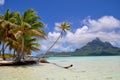 Bora Bora, french polynesia Royalty Free Stock Photo