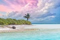 Bora Bora, paradise island beach palms, French Polynesia Royalty Free Stock Photo