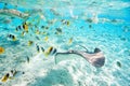 Bora Bora underwater Royalty Free Stock Photo