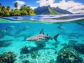 Bora Bora underwater