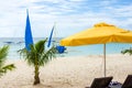 Boracay Beach, small palm trees and a yellow parasol Royalty Free Stock Photo