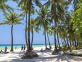 Boracay, Malay, Aklan, Philippines - Coconut trees near Station 1 of the popular White Beach in Boracay Island