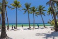 Boracay, Malay, Aklan, Philippines - Coconut trees near Station 1 of the popular White Beach in Boracay Island