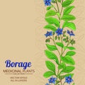 Borage vector frame