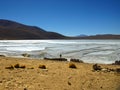 Borax mines in andean lagoon