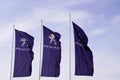 Peugeot text logo and brand sign on three flag front of store car dealership shop