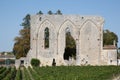 Bordeaux Saint-Emilion village UNESCO World Heritage Site in France