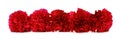 Border arrangement of red carnation flowers over white Royalty Free Stock Photo