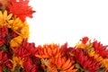 Border of autumn flowers Royalty Free Stock Photo