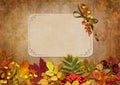 Border with autumn leaves, berries and card on a vintage background