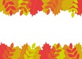 Border autumn leaves. Frame fallen leaves of maple, oak, rowan. Vector