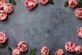 Border of beautiful pink tulips on dark shabby chic background