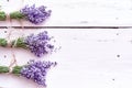 Border of bunches of aromatic purple lavender Royalty Free Stock Photo