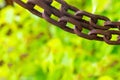 Border chain old rusty brown horizontal on green blurred flora background close-up grunge style